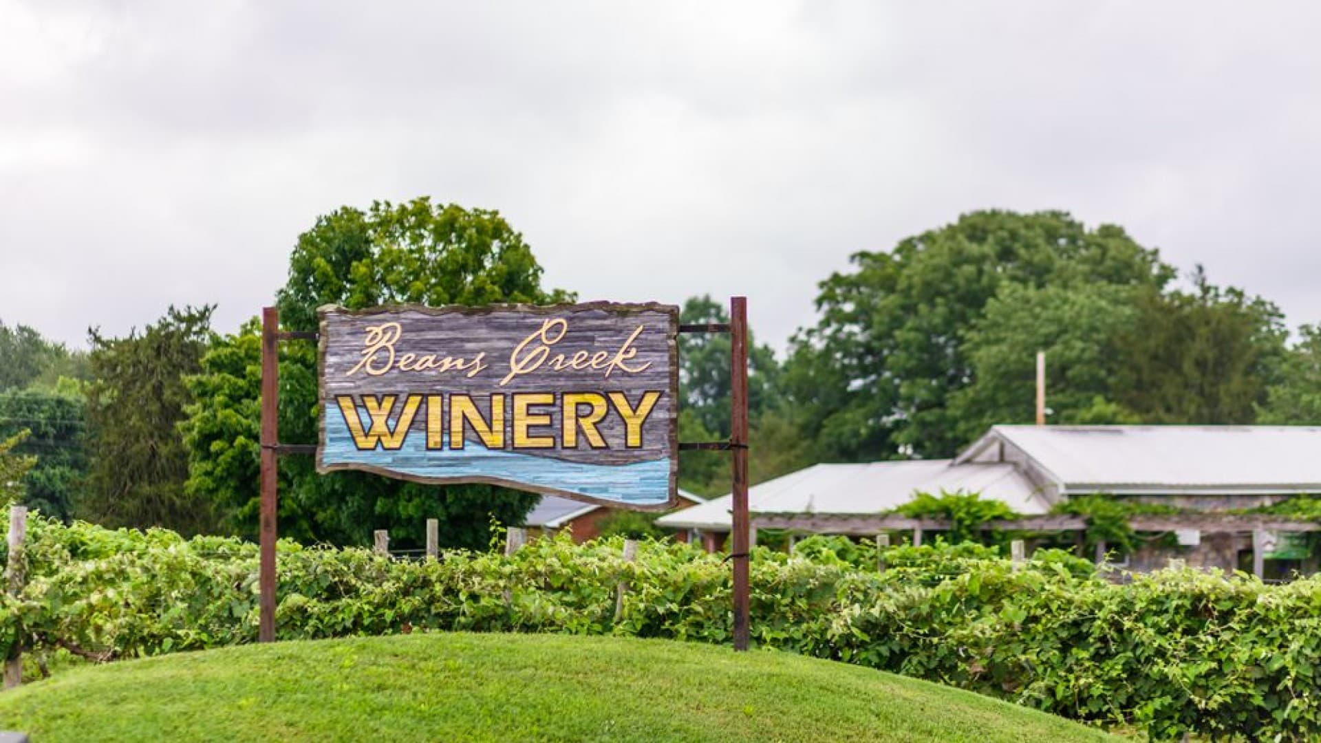 Beans Creek Winery
